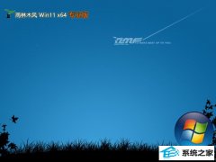 ľ⼤win11 64λٹٷv2025.05