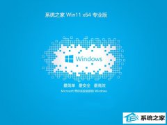 ϵͳ֮win11 64λ ⼤ر԰v2025.05