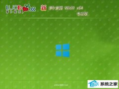 ܲ԰win11 64λŻv2025.05