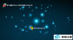 ܲ԰Win11 װ64λ 2021.09