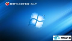 ѻ԰Windows11 װ64λ 2021.09